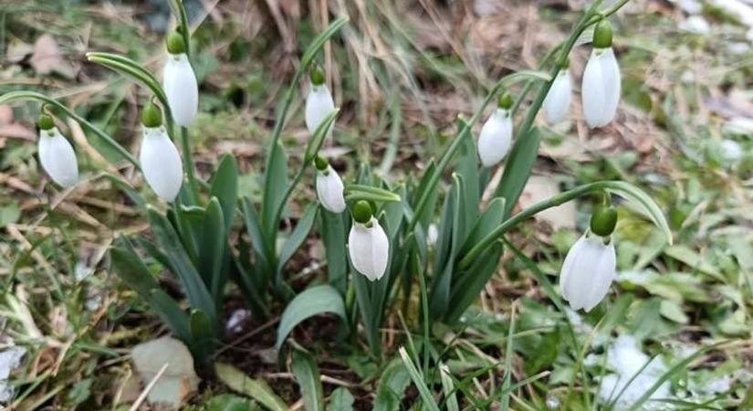 Időjárás holnap Borsodban: a hideg vagy a napsütés lesz a nyerő?