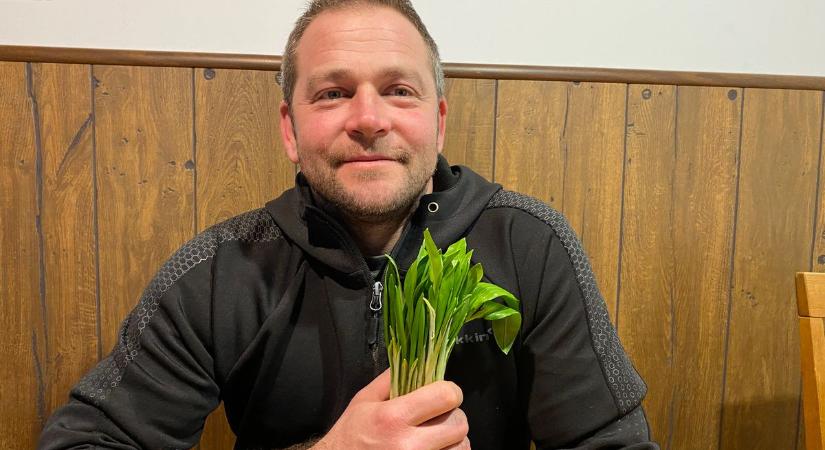 Medvehagymaszezon a Bakonyban: amit a gyűjtés előtt érdemes tudni