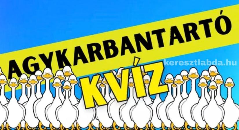 Agykarbantartó kihívás, ami megizzasztja az internetet: Te megtalálod a turpisságot a kacsák között?