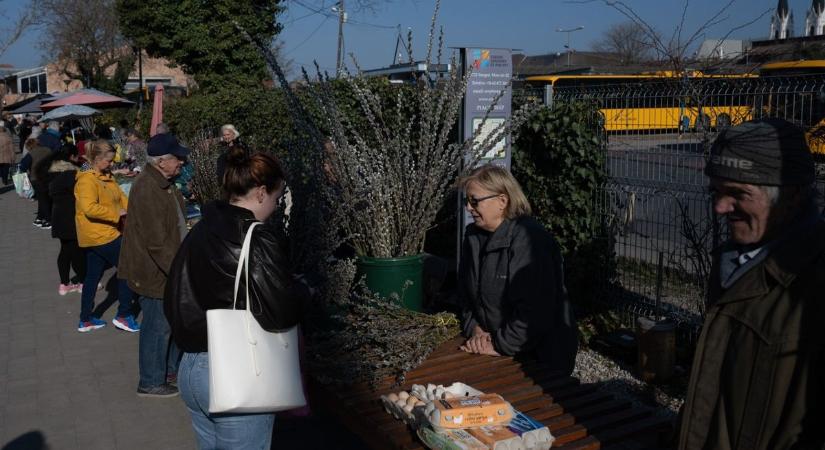 Már kapható a húsvéti asztal dísze – megnéztük, mennyibe kerül a barka a piacon
