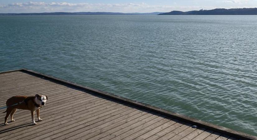 Folytatódik a napos, tavaszias idő az előttünk álló héten is