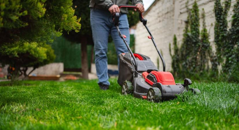 Sokan már márciusban elrontják: így lesz igazán szép gyep a kertben tavasszal