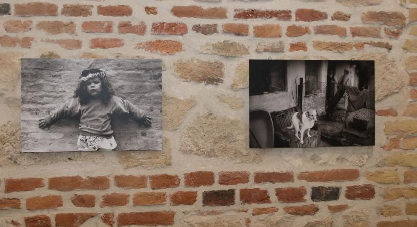 Néhai munkatársunk, Pati-Nagy Bence fotói Fehérváron