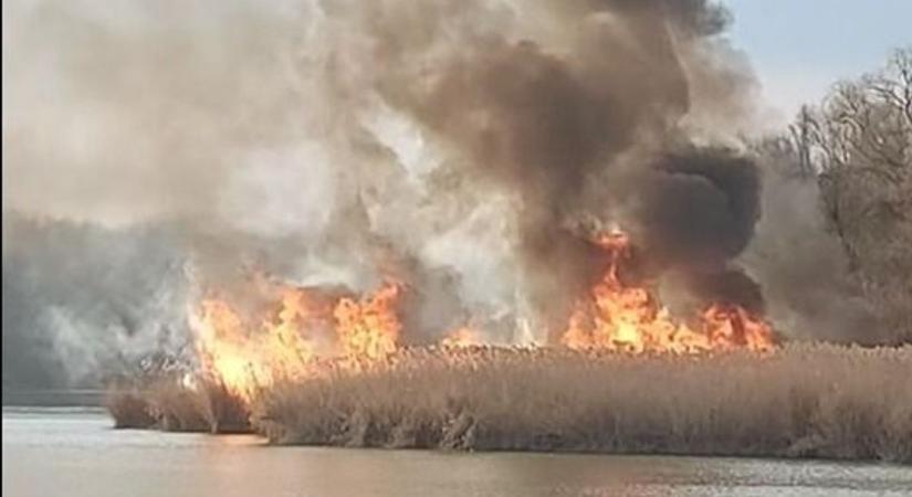 Hatalmas fekete füstoszlop szállt fel a Tisza-tónál - lángolt a nádas - videó