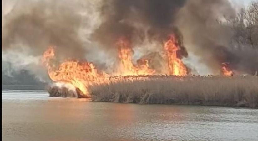 Durva videón, ahogy lángokban állt a Tisza-tó Hajdú-Bihar határánál!