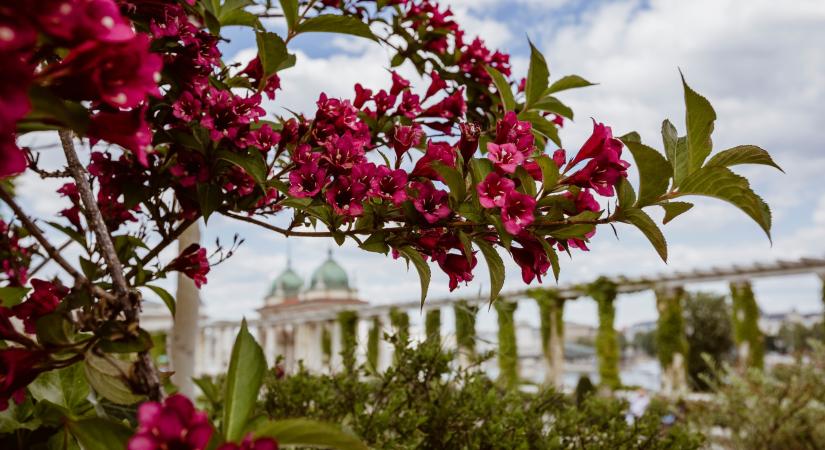 Újjászülető Citadella – kiállítás mesél a Gellért-hegy ikonikus