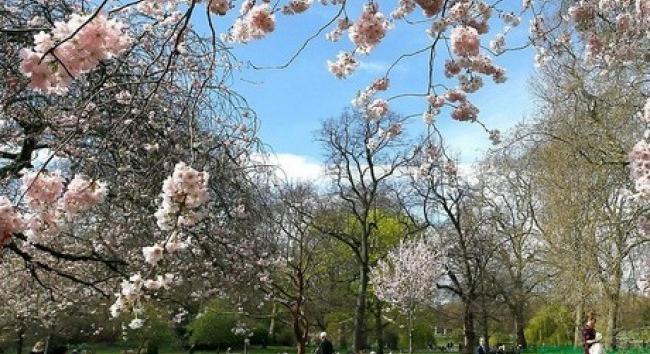 Megérkezett az időjárás-előrejelzés - mutatjuk, mi várható hétfőn