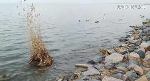 Megmozdult a Balaton – tömegek sétáltak Siófokon a jó időben (sonline.hu)