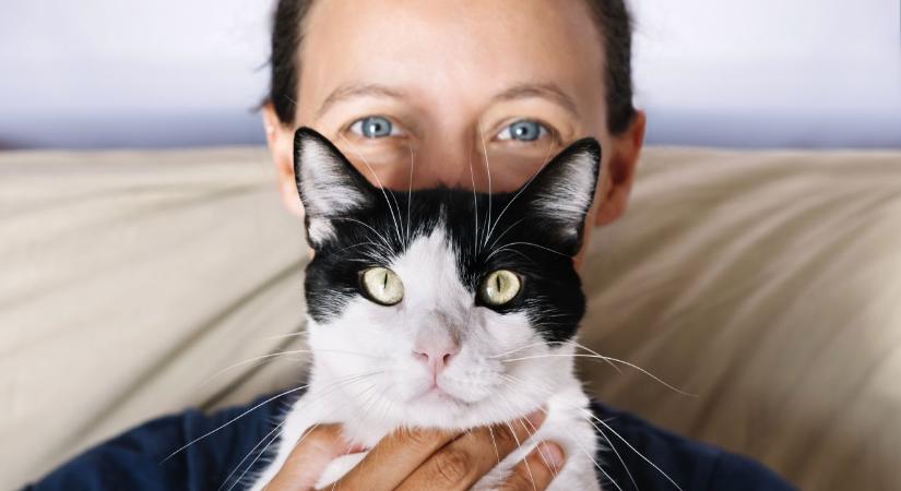 Napi horoszkóp 2026. 03. 09.: A Mérlegnek a türelem, a Skorpiónak egy kis lazítás jöhet jól