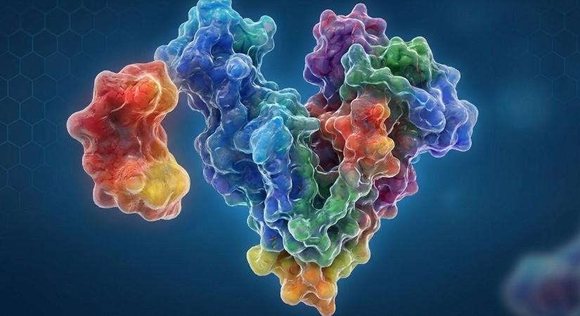 A perszulfidáció jelentősége az onkológiában és a neurológiában