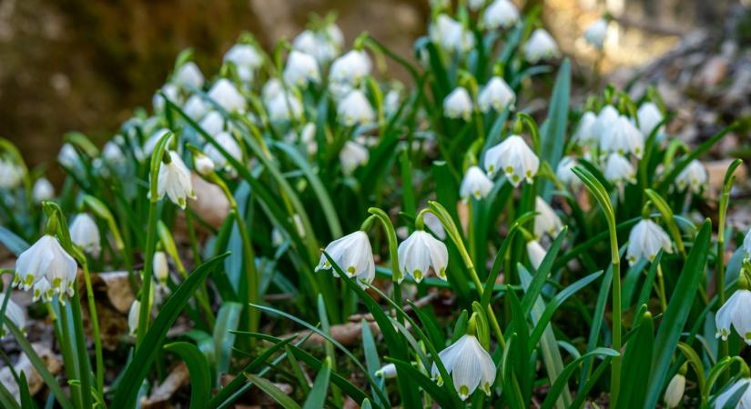 Időjárás 2026. március 9.: Kitart a napsütés, de már erősebb felhőátvonulásokkal