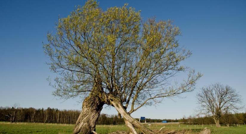 Szeles fordulat, de front nélkül: ez vár ránk hétfőn