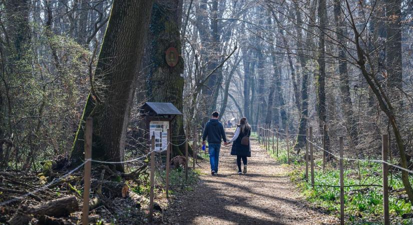 Kellemes tavaszi időre van kilátás hétfőn Győr-Moson-Sopronban