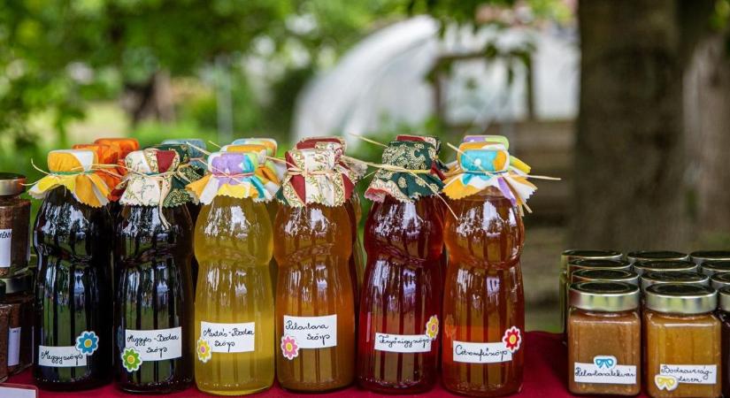 Segítség a kisüzemeknek: ismét jön a 10 milliós agrártámogatás