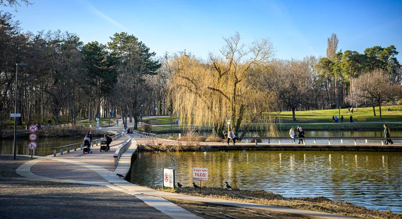 Folytatódik a napos, tavaszias idő ezen a héten is