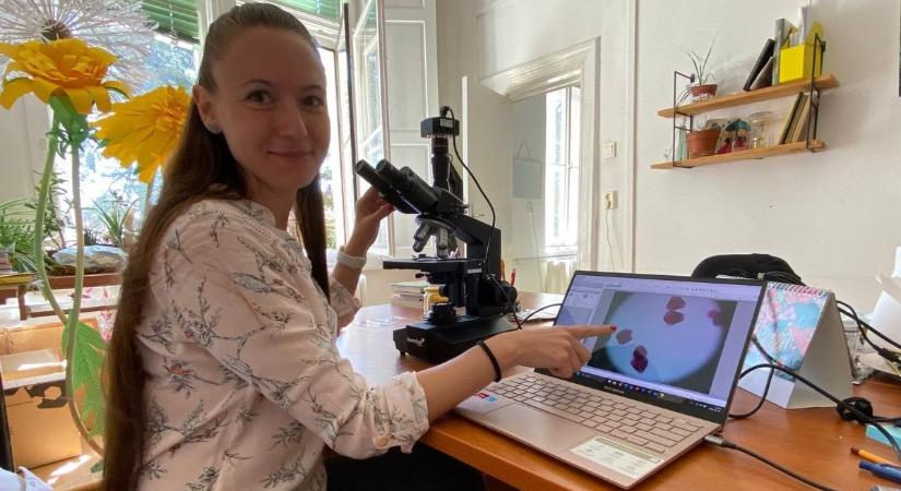 Korábban és erősebben jön a pollen – Tolnában is egyre többen szenvednek