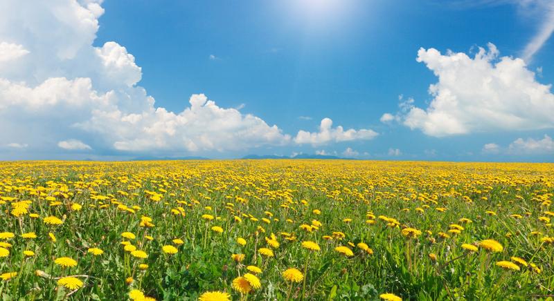 Egyelőre nem látszik a száraz meleg periódus vége