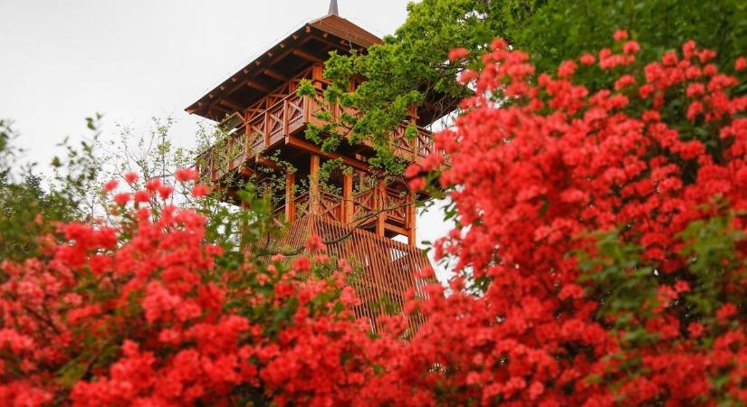 Olvasóink szerint innen tudjuk, hogy mi vasiak, vasiak vagyunk