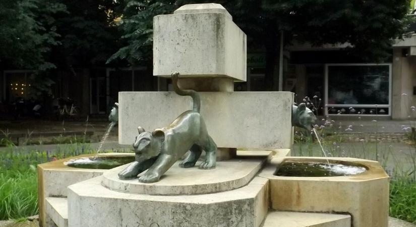 "Elszökött" a vásárhelyi kis oroszlán