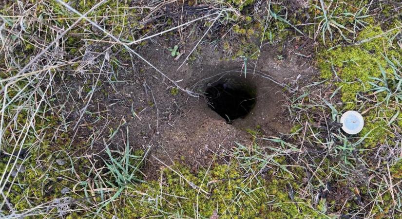 Föld alatti járatok a pusztában: aki bántja a lakójukat, akár 250 ezer forintot fizethet