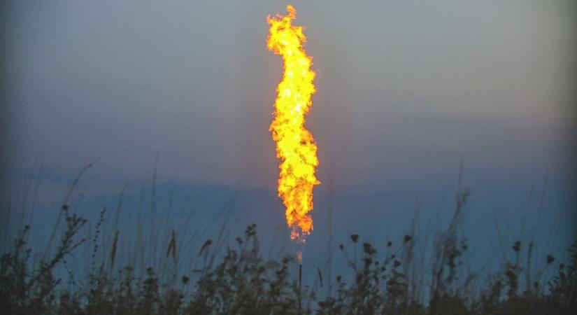 Vasi a Séfek séfe, dráguló üzemanyagár, újonnan megnyílt zöldséges - Ezt olvasták a legtöbben az elmúlt héten!