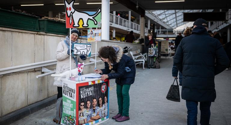 Ezek már nem pártok, de lövészegyletek még lehetnek