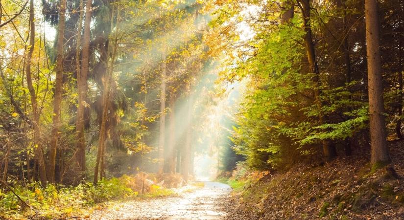 Eldőlt a sorsunk: olyan számokat látni az előrejelzésben március 15-re, amitől tátva marad a szája