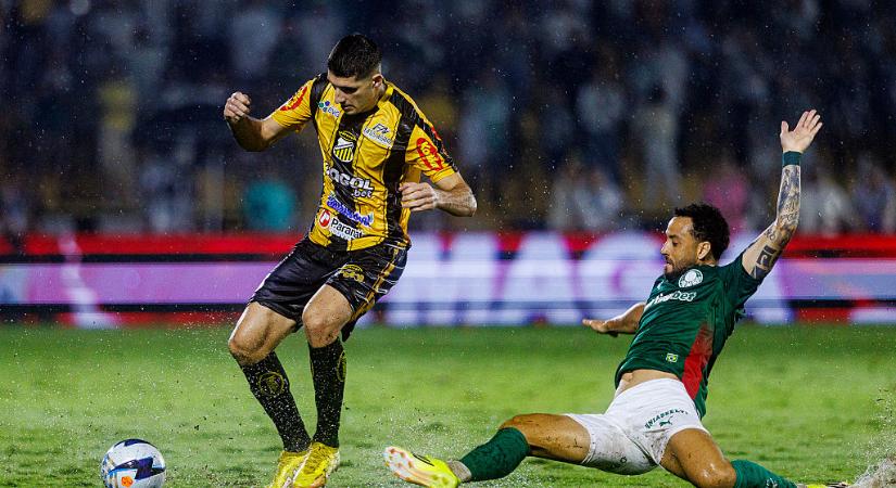 Campeonato Paulista: véget ért a tündérmese, a Palmeiras lett a bajnok – videóval