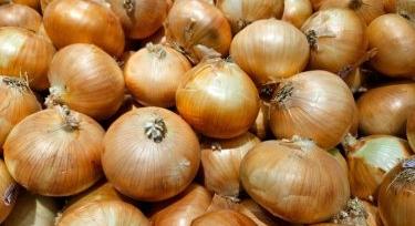 Olcsó a hagyma, mégsem örülhetnek a termelők