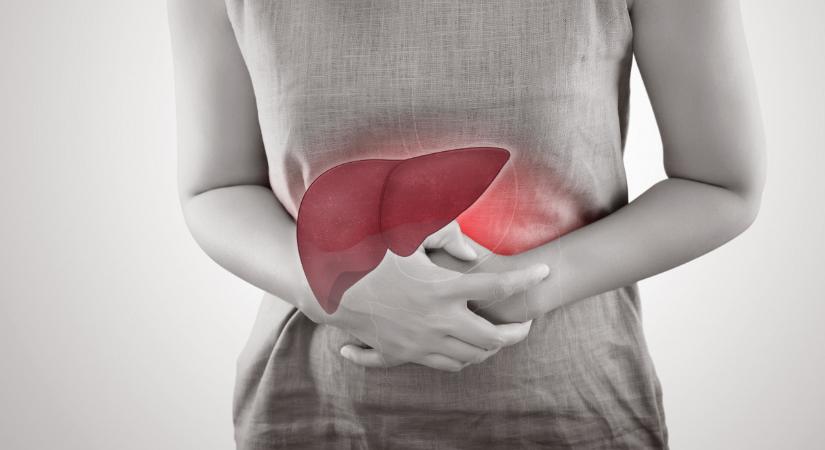 Súlyos járvány fenyeget Csehországban