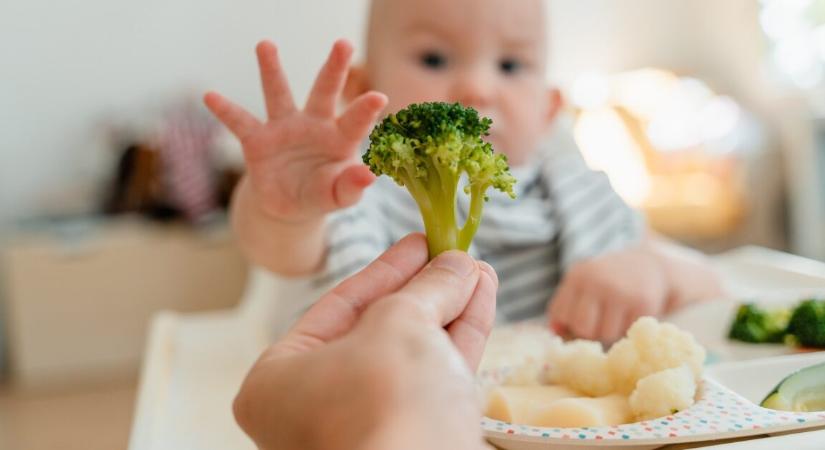 A tudomány igazolta – a babák étrendje egész életre meghatározhatja a szív egészségét