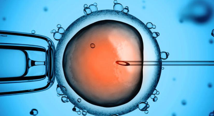 Elhallgatta a Humánreprodukciós Intézet a valós adatokat?