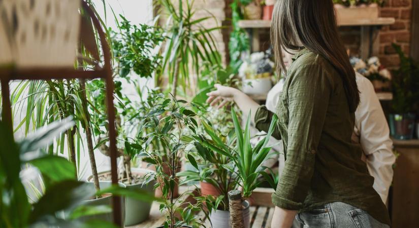 5 növény-inspirálta dekor, ami új szintre emeli a lakás hangulatát