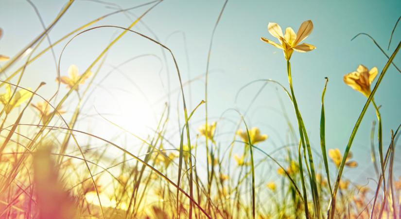 Ami március végén jön, olyan biztos nem lesz több idén Magyarországon