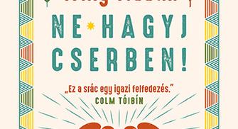 Willy Vlautin: Ne hagyj cserben!