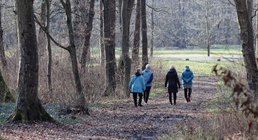 Látogatható a parkerdő Nagyatádon