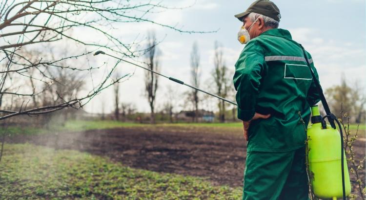 Tavaszi lemosó permetezés: egyszerű, de hatékony védekezés