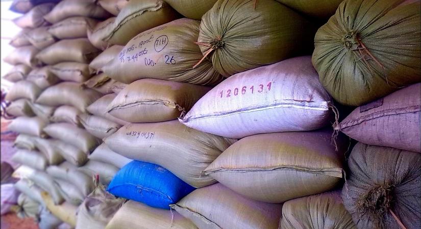 Különleges lehetőség Szerbiában