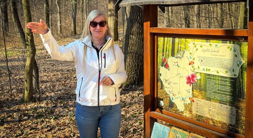 Kövesd a csigát! Ha ezt a zalai túraútvonalat még nem ismered, itt az ideje, hogy felfedezd! (galéria, videó)