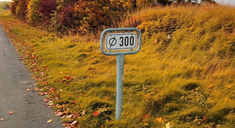 Rejtélyes kis tábla az út szélén: Mit jelent ez a furcsa jelzés?