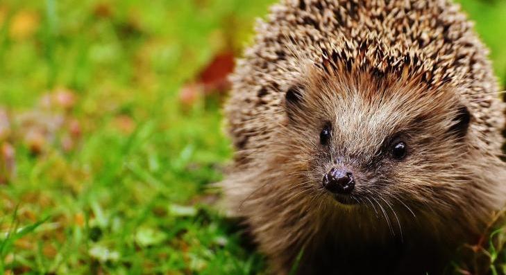 Felszólítják a magyar lakosságot! 