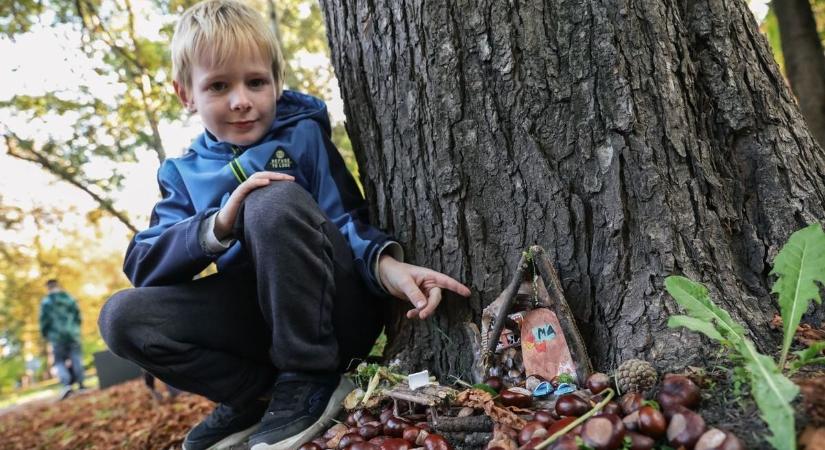 Az építkezés miatt költözniük kell, új helyet keresnek a győri manók