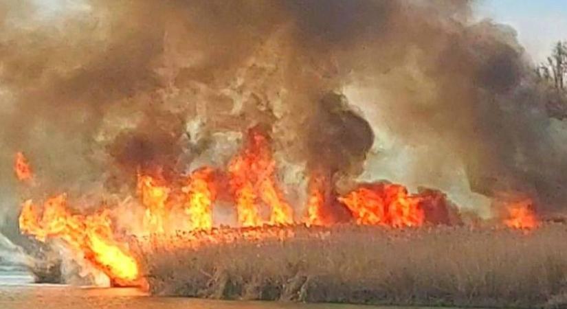 Pokoli tűz tombolt a Tisza-tónál, fotókon a kilométeres füstoszloppal égő nádas - videóval!
