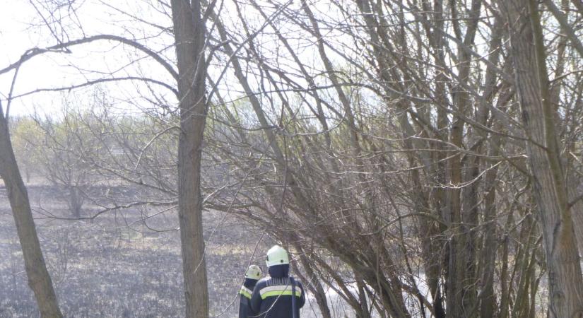 Tűz ütött ki az Ady Endre utcában!