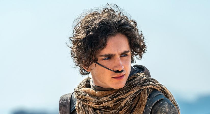 Felháborodást váltottak ki Timothée Chalamet szavai