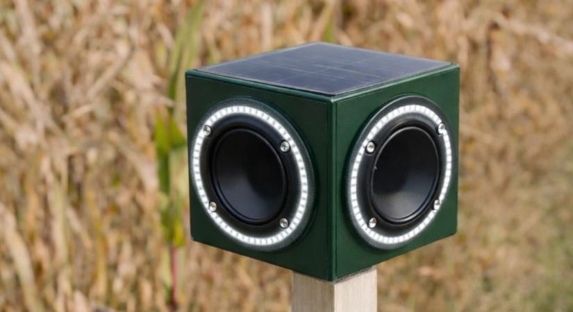 Humánus vadriasztás a gyakorlatban: mi működik hosszú távon?