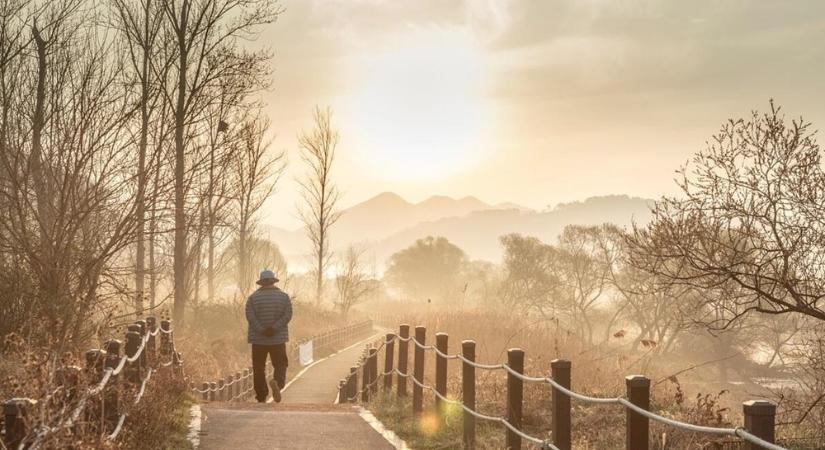 Az egészséges öregedés kulcsa: életmódváltás idősebb korban