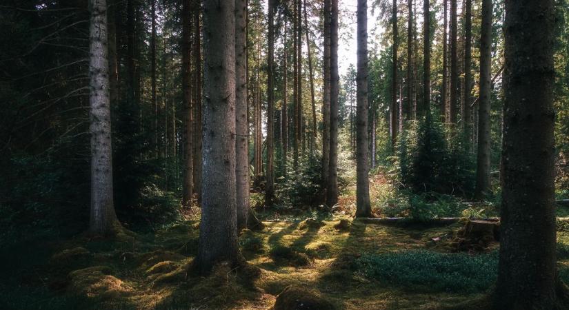 216 000 hektárnyi terület van veszélyben Európa területén