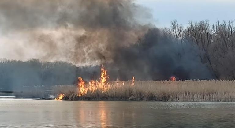 Lángokban állt a nádas Tiszafüreden