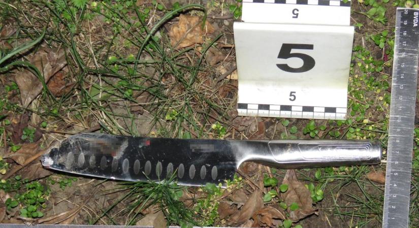 Késsel támadt két nőre Nyíregyházán!